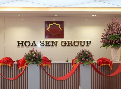 hsg (2)