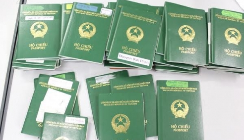 Giám đốc công ty xuất khẩu lao động, lừa đảo gần 200 lao động