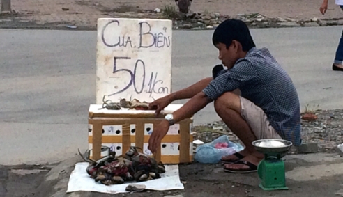 Hoang mang chất lượng cua biển siêu rẻ 50.000 đồng/kg bán tràn lan