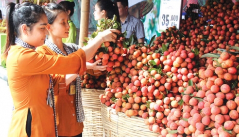 Bảo hộ chỉ dẫn địa lý nông sản tại nước ngoài: Doanh nghiệp Việt thờ ơ?