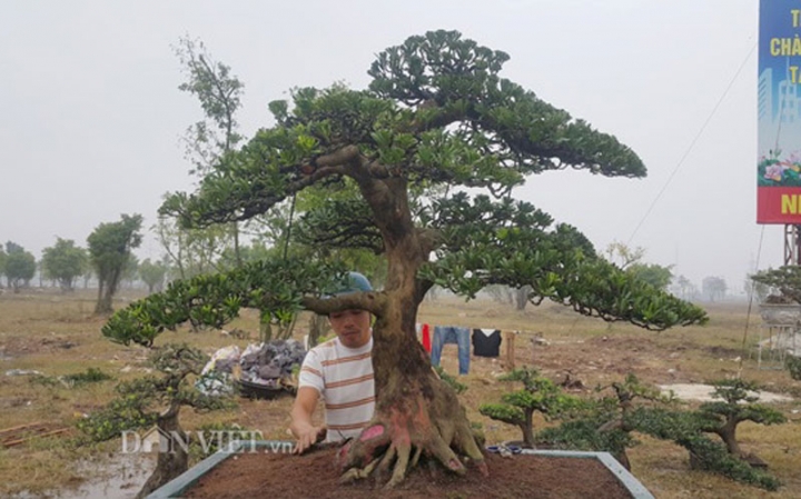 kieng 1