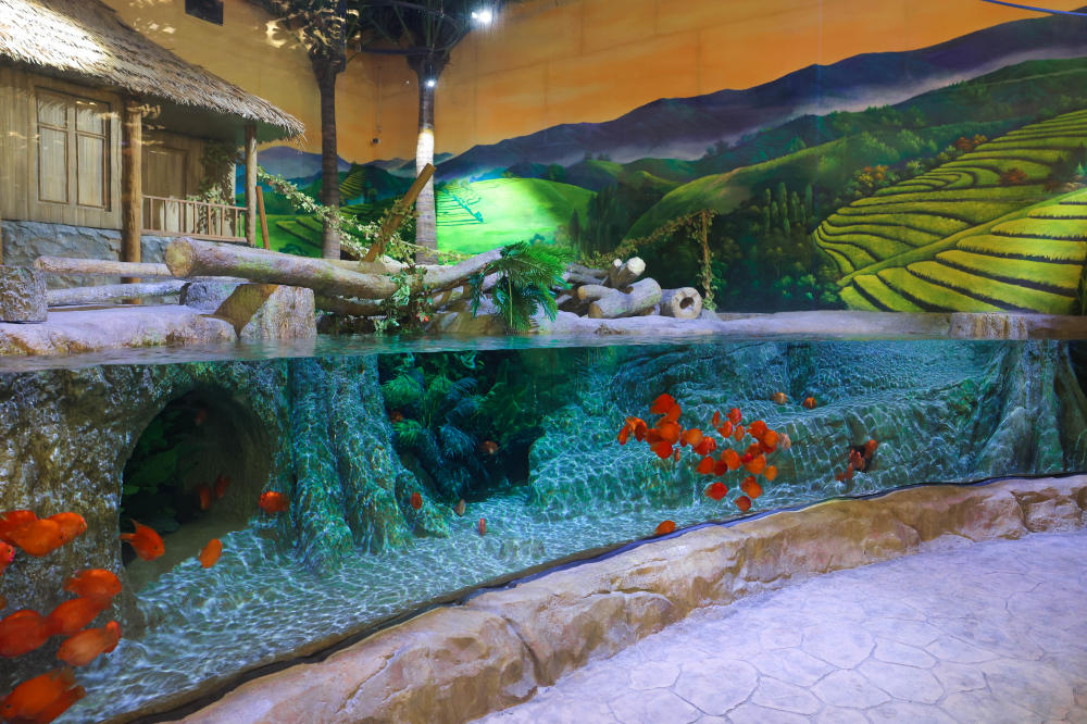 Lotte World Aquarium Hanoi (1)