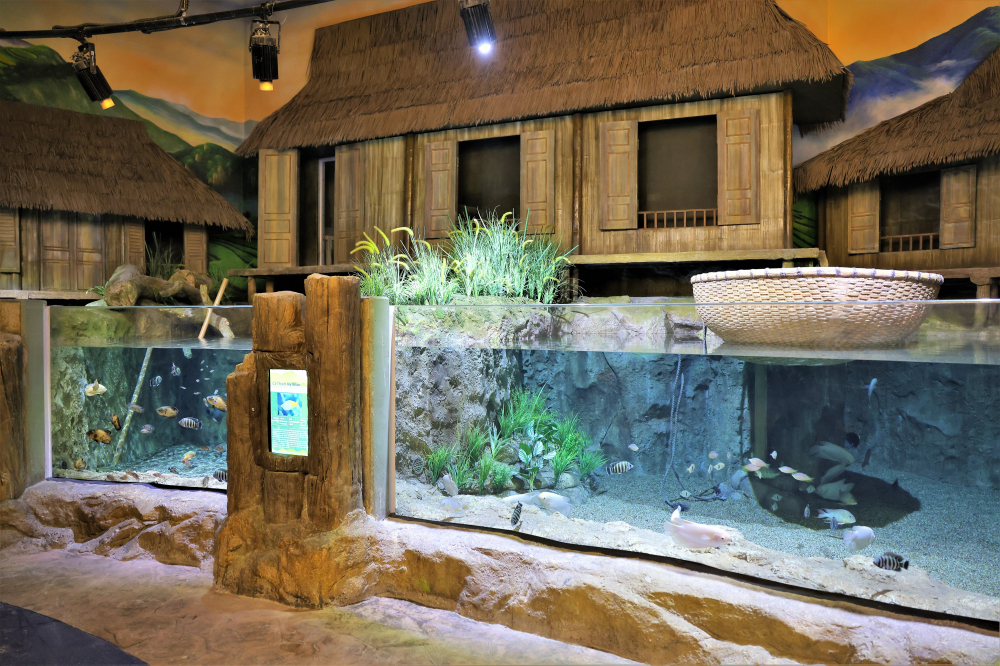 Lotte World Aquarium Hanoi (2)