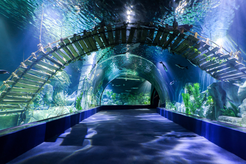 Lotte World Aquarium Hanoi (3)