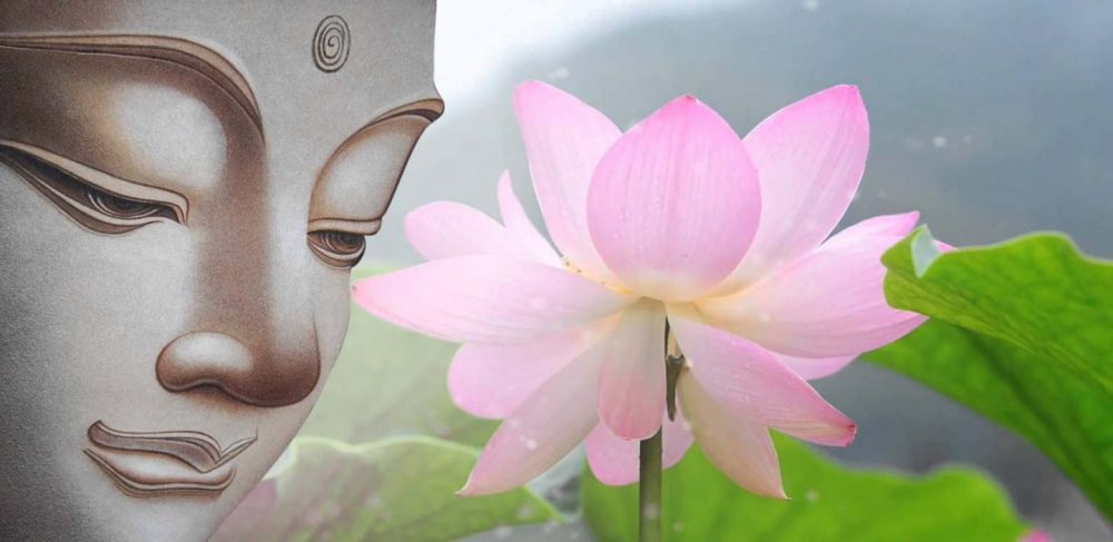 Ý nghĩa của hoa sen trong Phật giáo ít ai biết