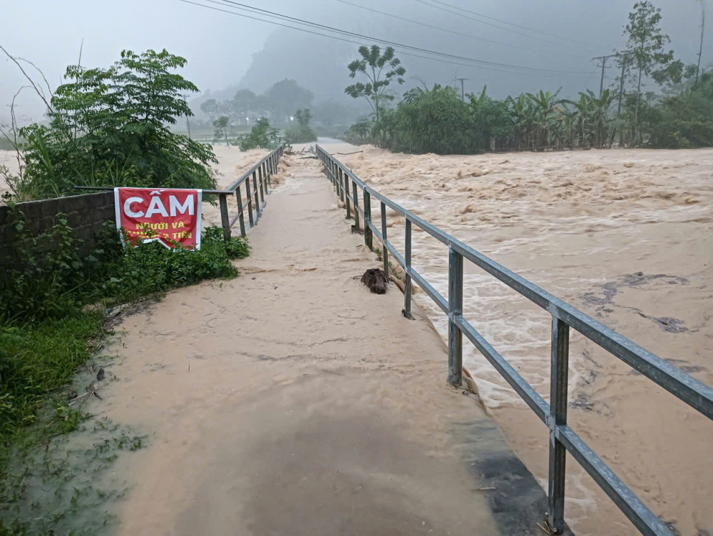 gen-h-z7054465690520_4945f0e54dc4d8508c61f86e206e2d49