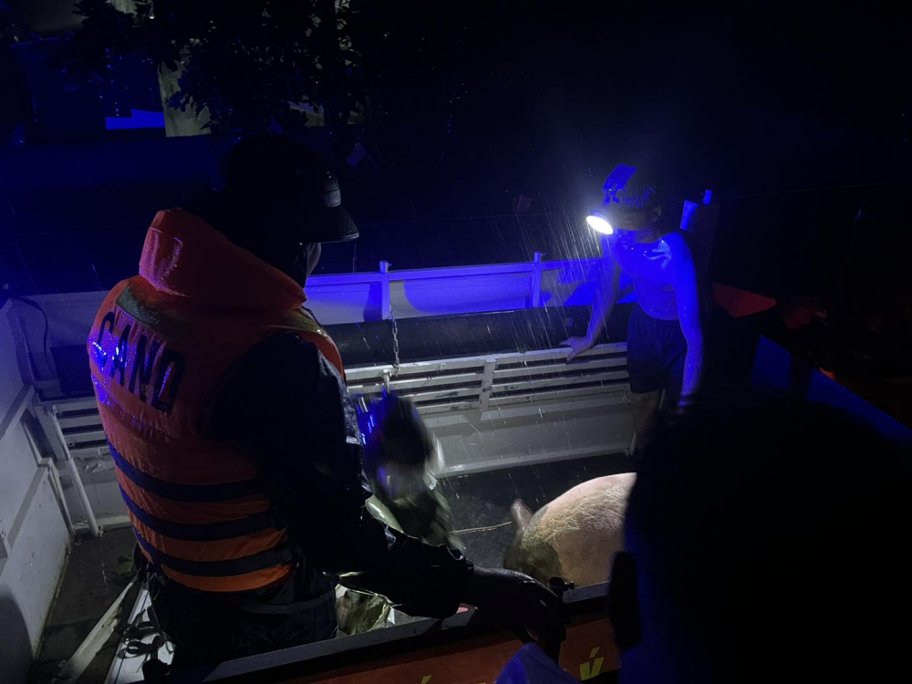 557331138_1385002796963280_9061328568266466364_n