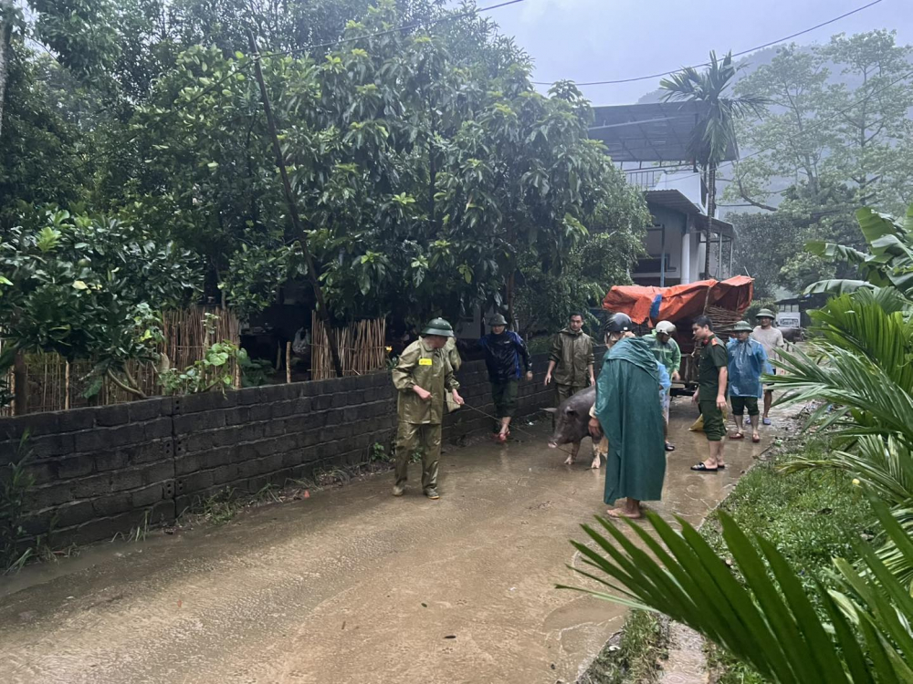 557539230_1385002913629935_4890638301820271264_n