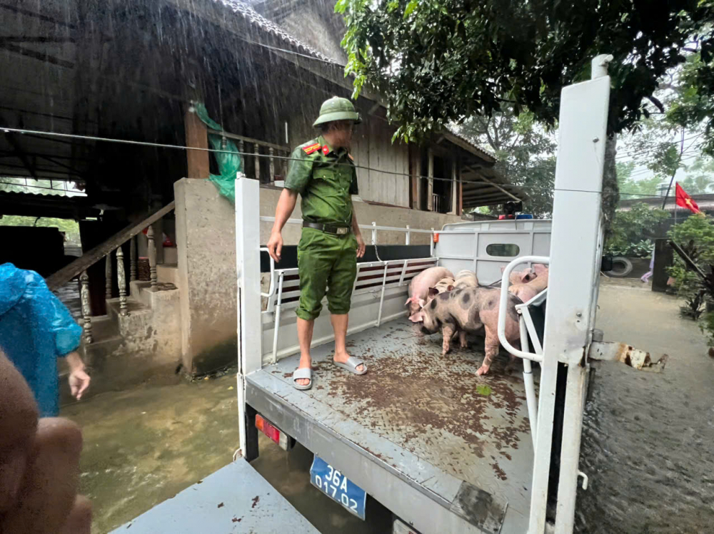 gen-h-z7064892162421_5723f9db9b32a785a2026e83d0fe6f0a