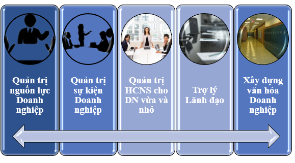 QTNL