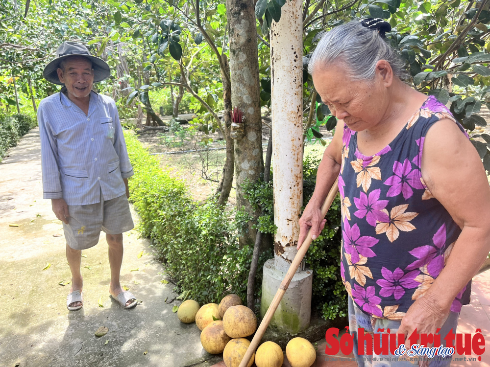 71cf7dfbf36b7935207a