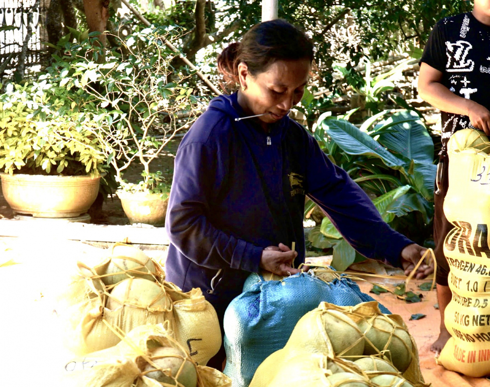 9caf0696920618584117 (2)