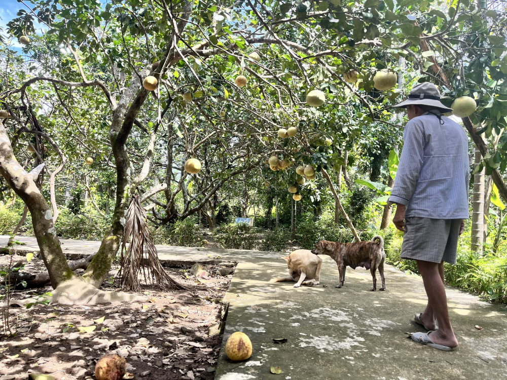 a0bc6c9de20d6853311c