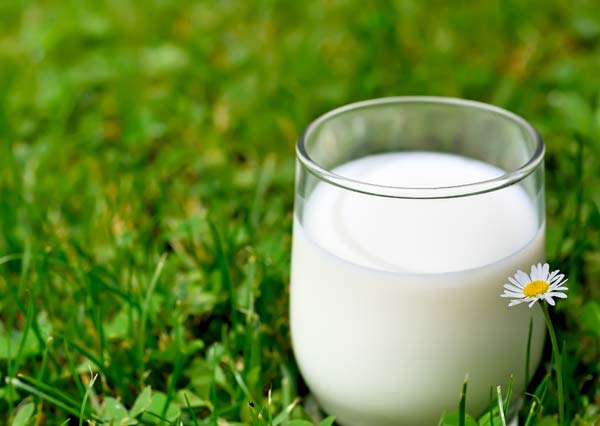 Tìm hiểu 104 hình ảnh ly sữa mới nhất  Tin Học Vui