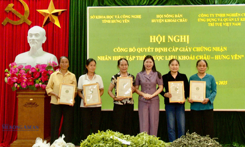 duoc lieu khoai chau