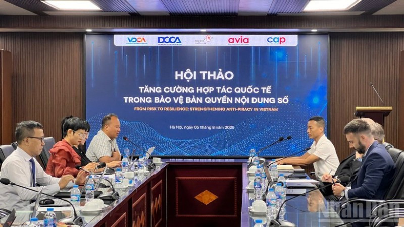 ban quyen noi dung so2
