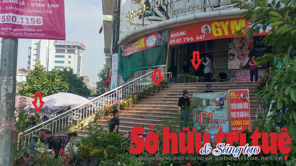 Hinh 1