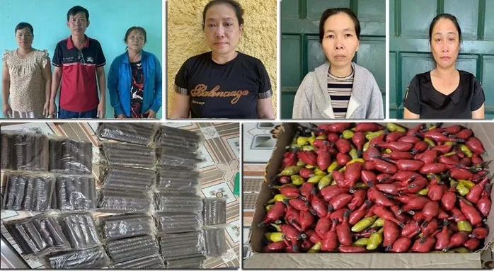 buon chat no trai pheo thanh hoa