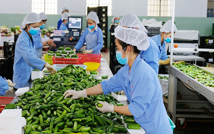 Xuất khẩu nông sản Việt Nam hướng đến mục tiêu 6,5 tỷ USD