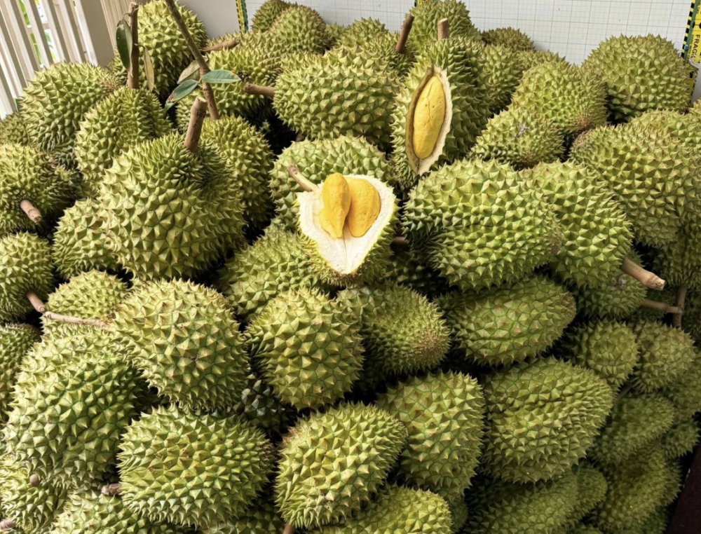 sau-rieng-69137