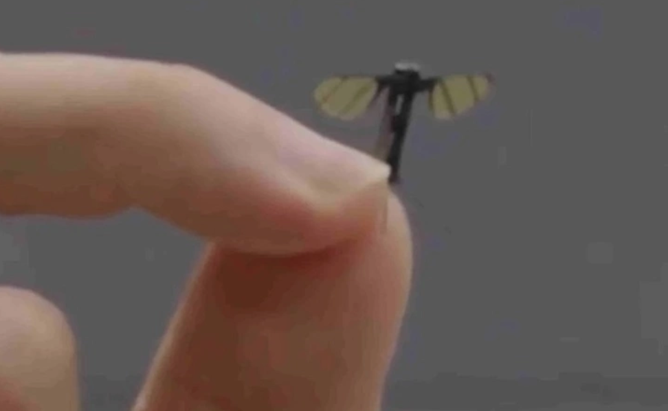 drone-sieu-nho