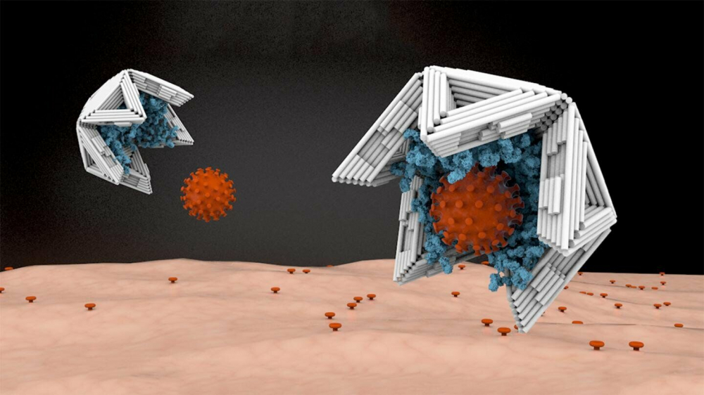 Hollow-nano-objects-made-from-DNA-could-capture-viruses-and-render