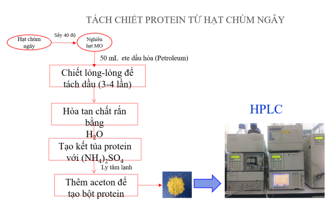 Chiet-suat-protein-6818-1644290827