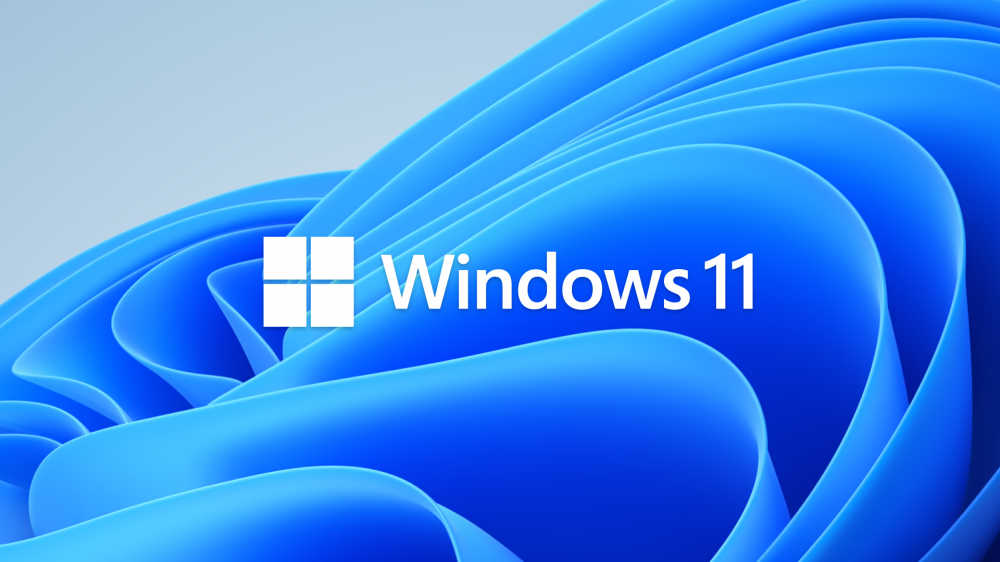 Windows-11_Hero-Bloom-Logo