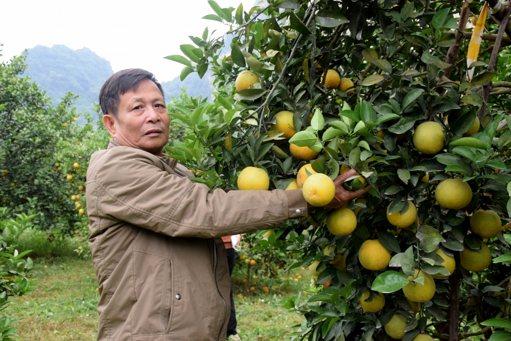uploaded-xuanhoangbna-2021_11_16-_bna_c_bien6929845_16112021