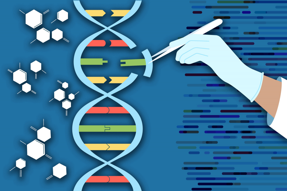 MIT-LargeCRISPR-01-press