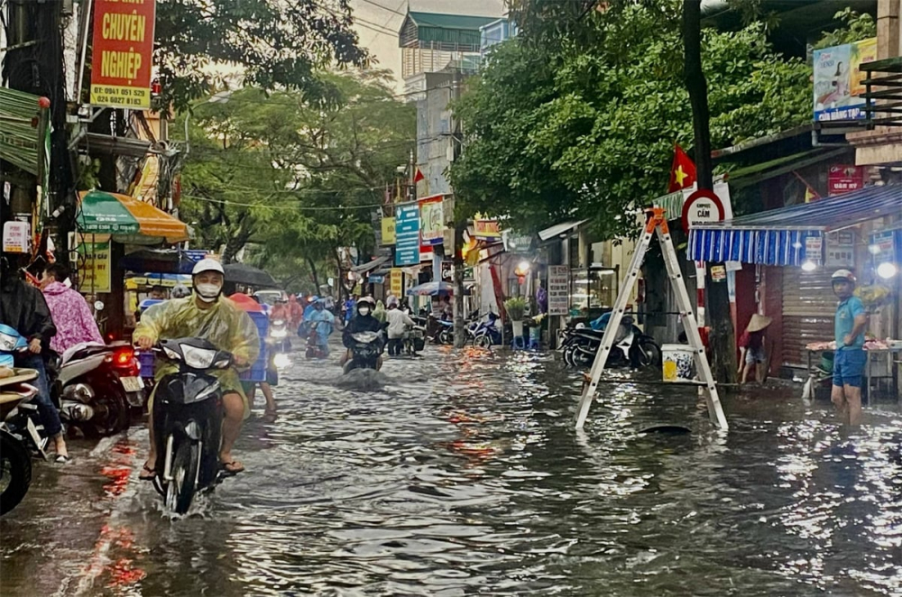 bao-lu-075520_985-080408