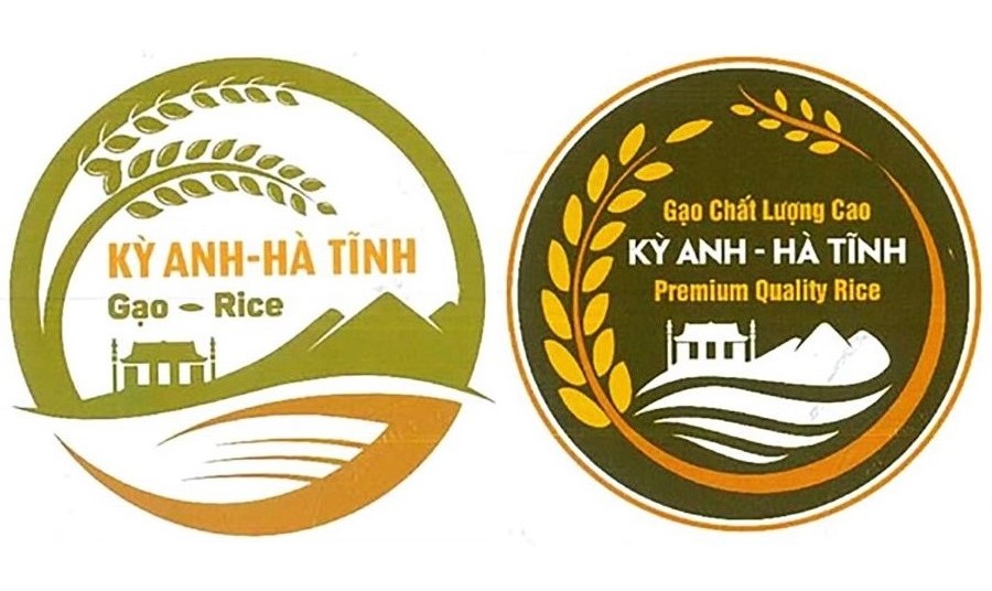 gao-ky-anh-ha-tinh-duoc-cap-chung-nhan-bao-ho-nhan-hieu-1-1779492942