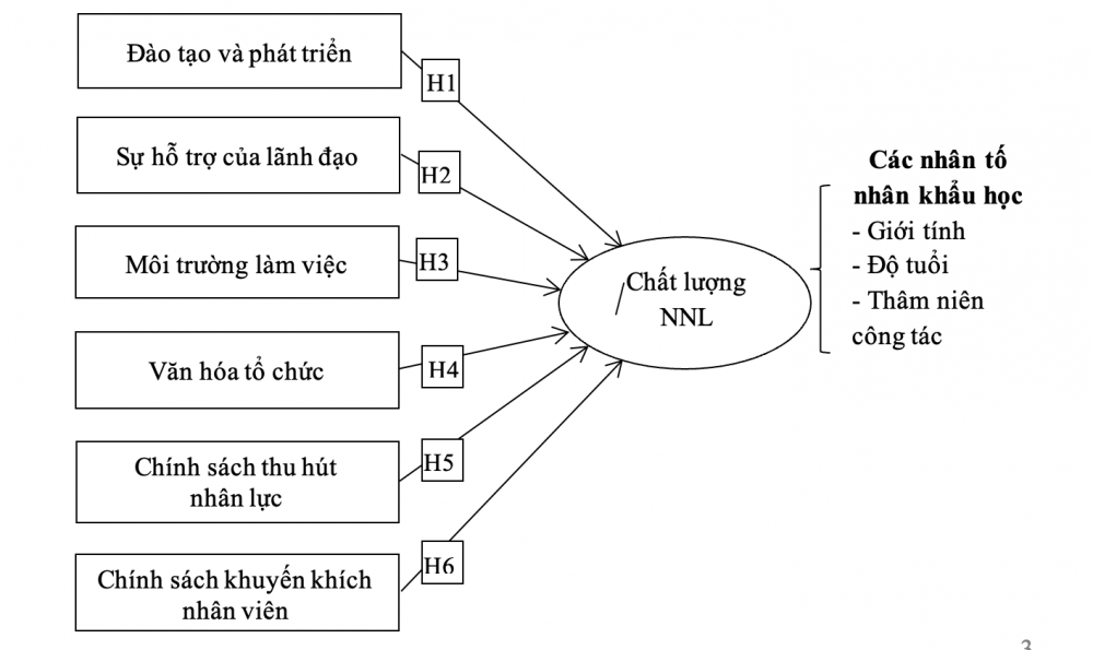 mo hinh de xuat