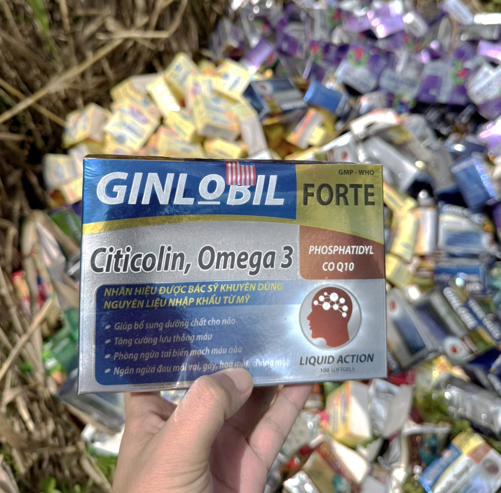 hanggia3