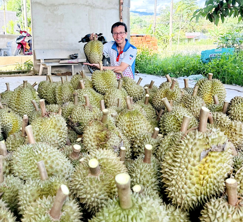 pahung1