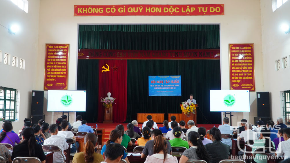 chi-dan-tan-cuong-2_20250423185019