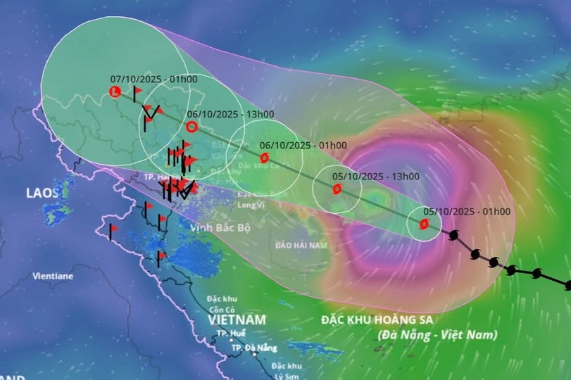 559127155_2638493279876088_8150933459016018187_n