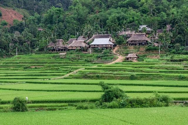kho-muong-1-1654768555