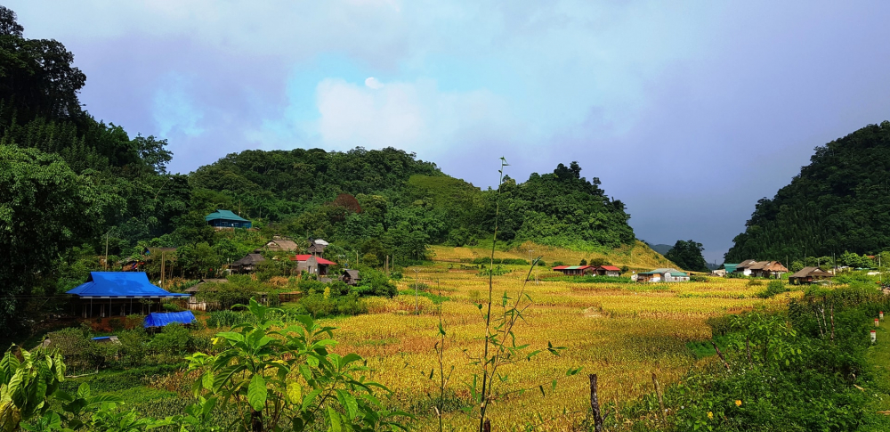 image.daidoanket.vn-images-upload-linhdh-07152021-_chan-trang-1