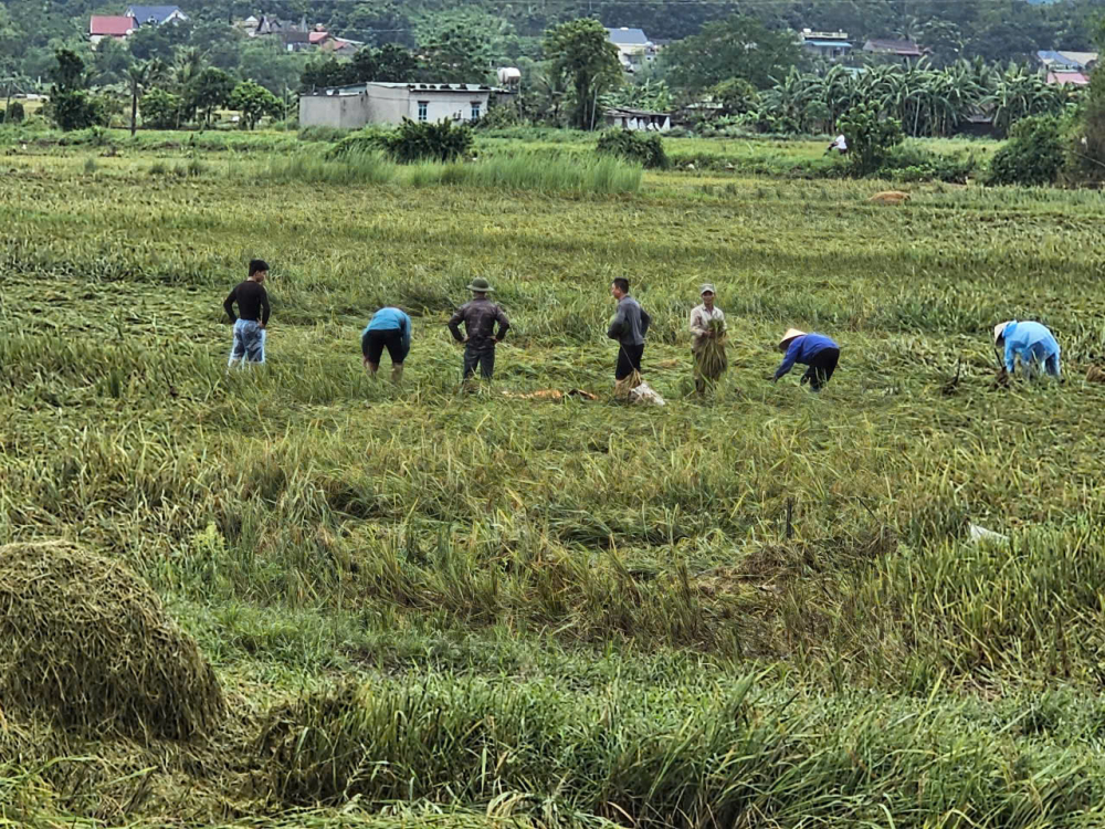 gen-h-z7068419545574_dd12e91b833d7c38c8521f6a2d1c114b