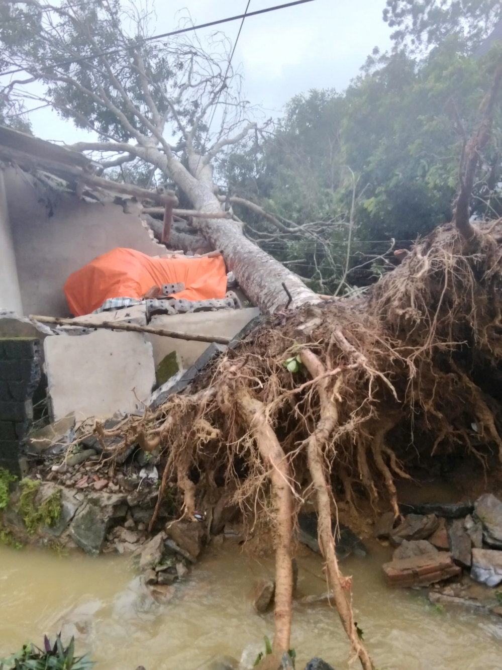 gen-h-z7068430482686_2829f20437b1d638970ede35a4795230