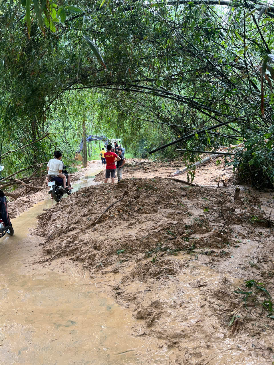 gen-h-z7068449938625_bac7987e1297cb588ecf53d9338d1fe7