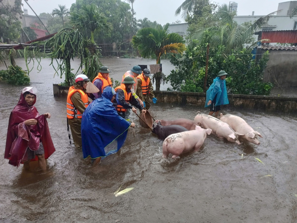 img_2164-7dbf404151431465457ac1cdafd66611