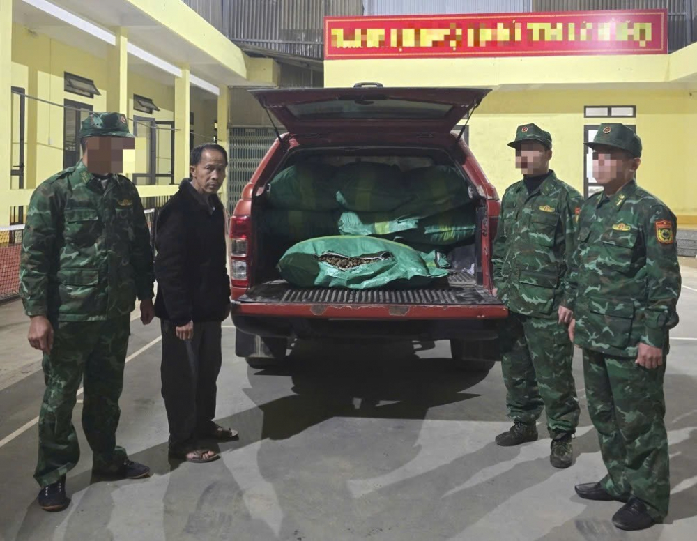 2900-kg-thuoc-la20251211153143