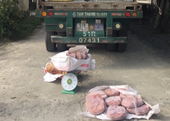 Hà Tĩnh bắt giữ 12 tấn nội tạng động vật thối rữa đang trên đường vận chuyển tới nơi tiêu thụ