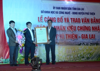Công bố nhãn hiệu Gạo Phú Thiện - Gia Lai: Đưa sản phẩm vươn tầm quốc tế