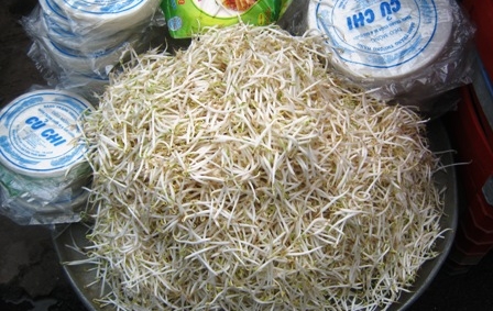 Không phát hiện “độc tố” trong mẫu giá đỗ ủ hóa chất