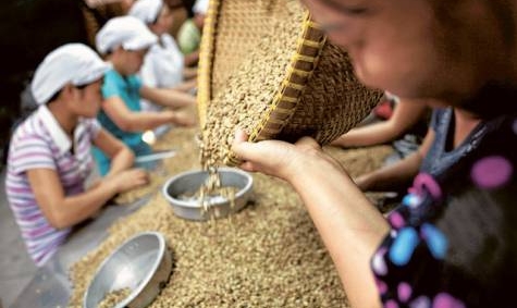 Xuất khẩu tiếp tục tăng trưởng mạnh