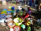 Mực ngon nhờ hóa chất