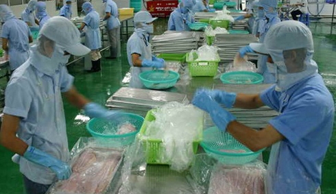 Hàng thủy sản ế chất đầy kho